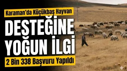 Karaman’da Küçükbaş Hayvan Desteğine Yoğun İlgi